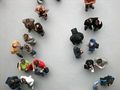 TTP Train-the-Trainer-Programm®